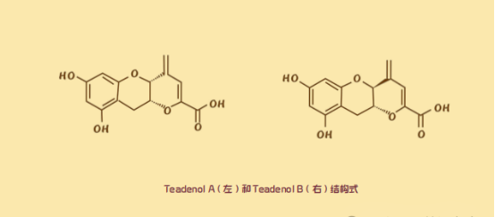 Teadenol A(左)和Teadenol B(右)结构式