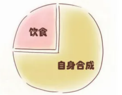 辅酶Q10有3/4都是通过自身合成剩下的1/4来自饮食