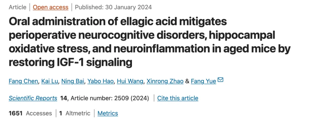 鞣花酸的缓解认知衰退