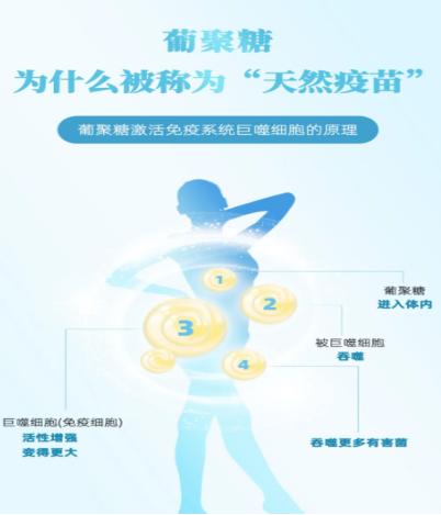 葡萄糖激活免疫系统巨噬细胞的原理