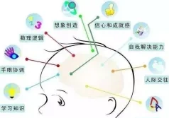 神经酸分子结构