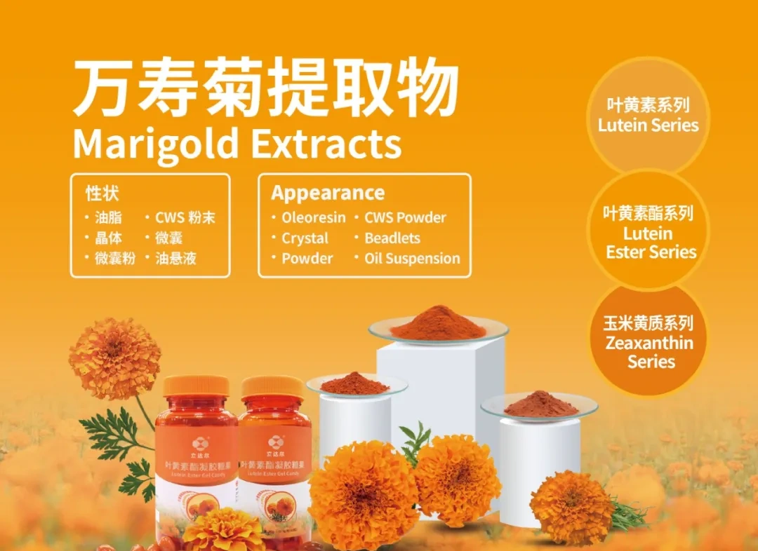 叶黄素来源之一万寿菊