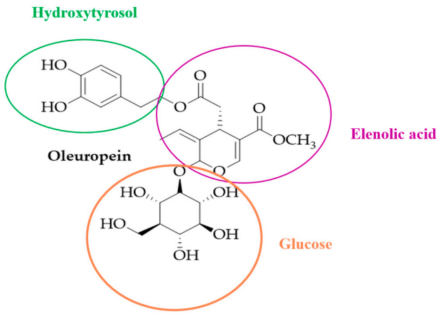 橄榄苦苷化学式