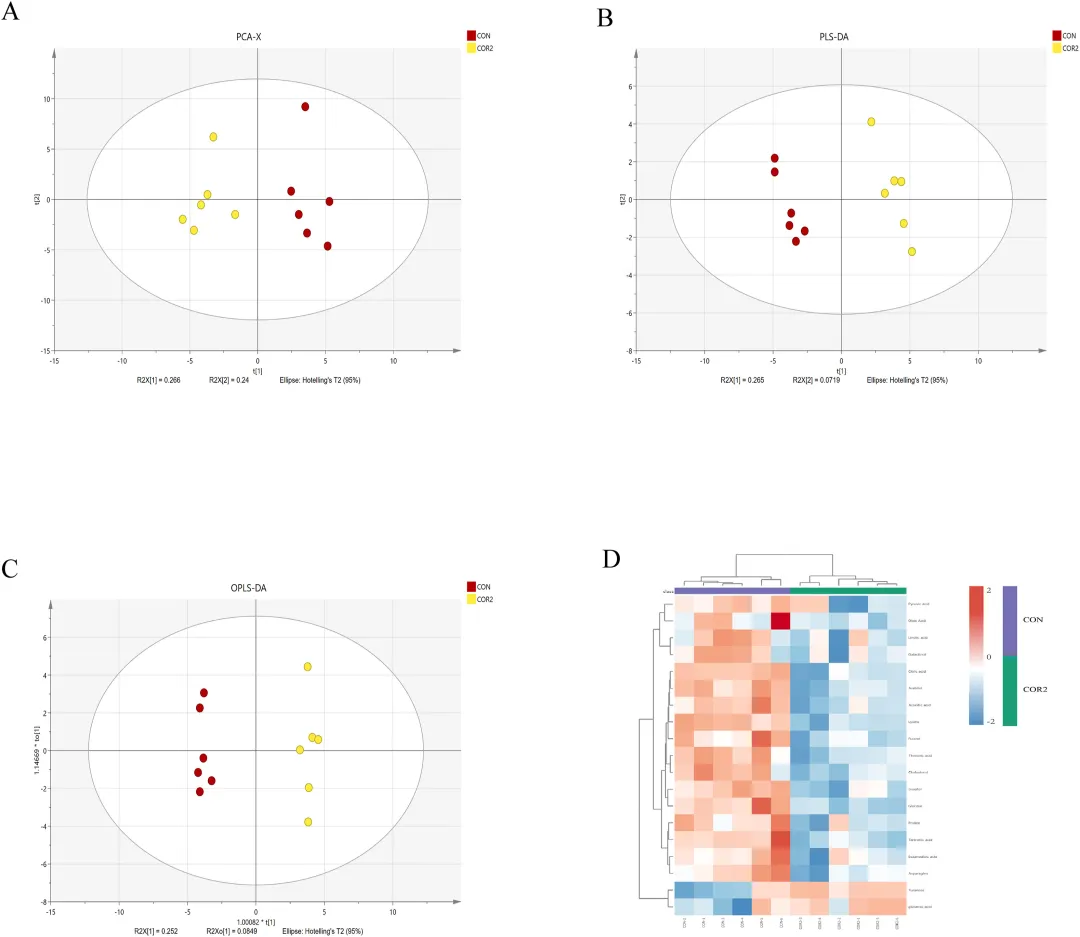 虫草素对秀丽隐杆线虫代谢物的影响