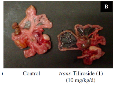 玫瑰果籽对内脏脂肪作用的实验