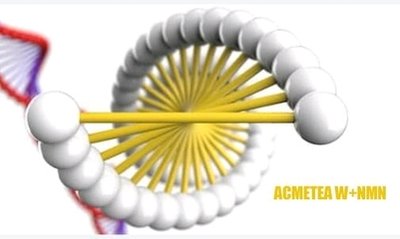 NMN-烟酰胺单核苷酸