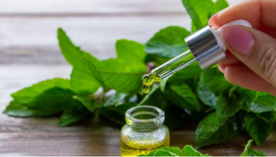 A hand drips plant - derived liquid from a dropper into a jar near green leaves