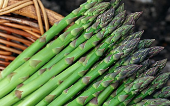 芦笋实拍图