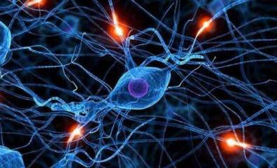 Energy and Mitochondrial Function