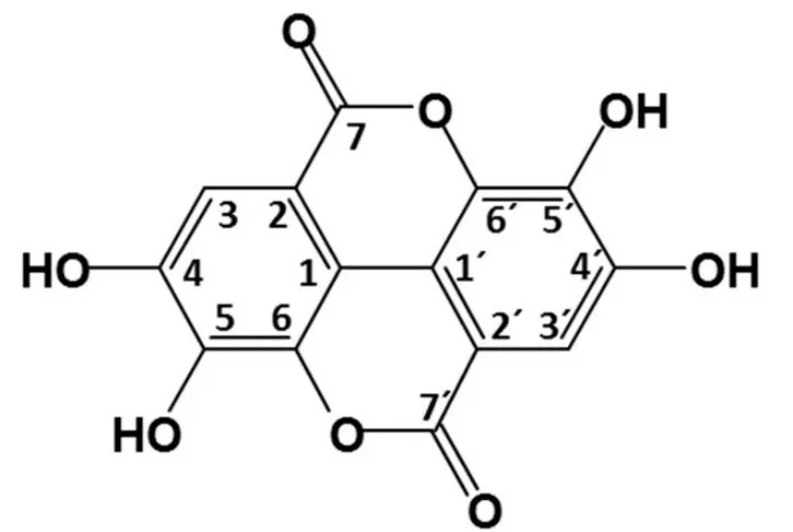 鞣花酸的化学结构