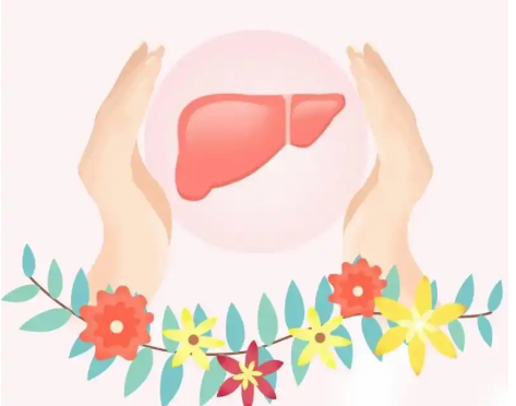 护肝漫画图