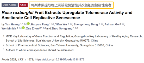 刺梨提取物的抗衰老作用机制