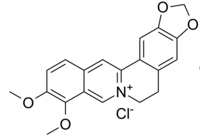 Structural formula of berberine