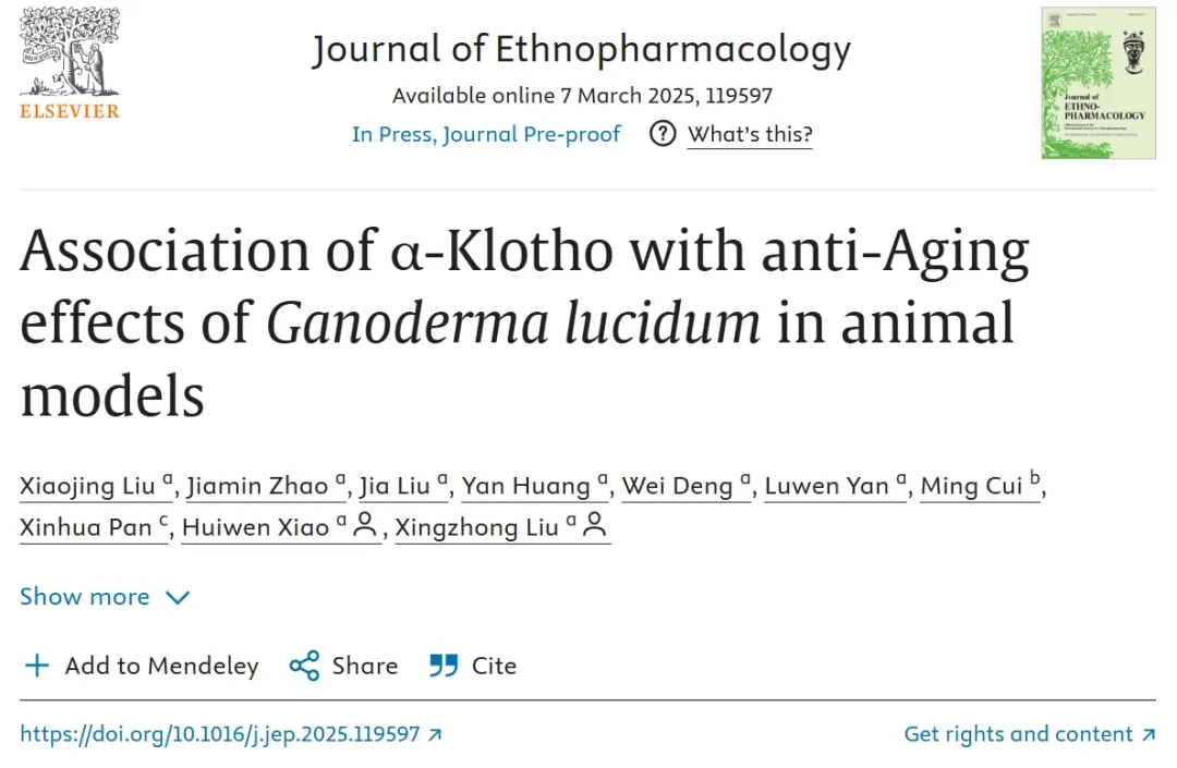 灵芝破壁孢子粉可以延缓衰老进程